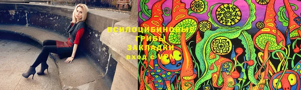 герыч Новозыбков