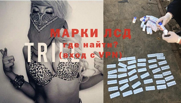герыч Новозыбков