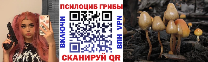Галлюциногенные грибы мицелий  Константиновск 